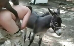 palpite para corujinha - donkey, videos with beastiality